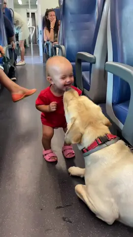 Warm Moments Between Baby and Dog#fyp #Love #baby#dog 