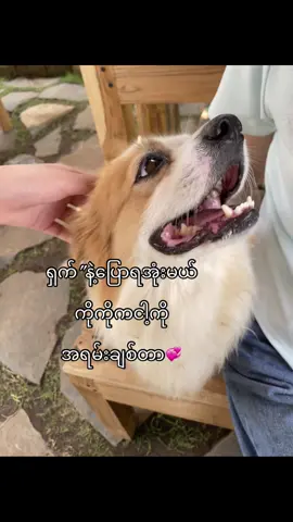 ဟီးးးး💕#😛 #fyp #livephoto #foryoupageofficiall #foryou #nadi #tiktokmyanmar 