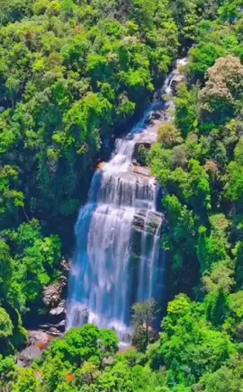 Thiên nhiên tươi đẹp! Thác Sông Lẫm ở Lào Cai!#quehuong #quehuongtoi #quehuongvietnam #quehuongmientay #trend #trending #trendingvideo #trendingsong #trendingtiktok #trendy #trends #trendingsound #trendingnow #xuhuong #xuhuongtiktok #cap #capcut #capcutvelocity #capcut_edit 