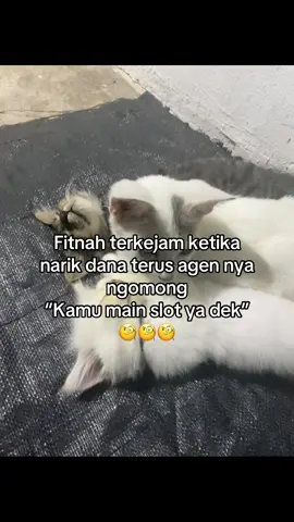 Fitnah nian kamu yuk🗿🗿😂 #katakata #palembang #fyp 