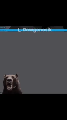 Музыкант #dawgonosik
