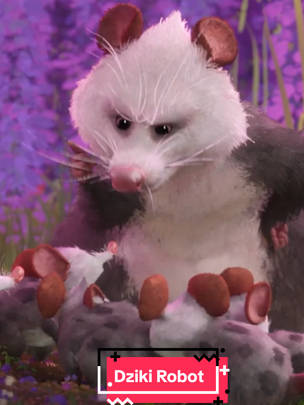 Zakręcona codzienność nie pozwala się nudzić żadnej mamie - na co dzień i od święta 😃  #SkyShowtime #DzikiRobot #WildRobot #opossum #HappyMotherDay #DzieńMatki #Mama