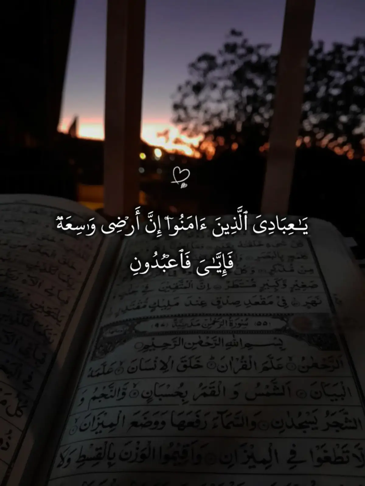 سورة العنكبوت 🖤 #صدقه_جاريه #اجر_لي_ولكم #قران 