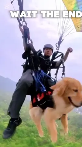#creatorsearchinsights Soar Through the Skies: Paragliding Adventures #paragliding, #outdooradventures, #extremesports, #travel, #adventure