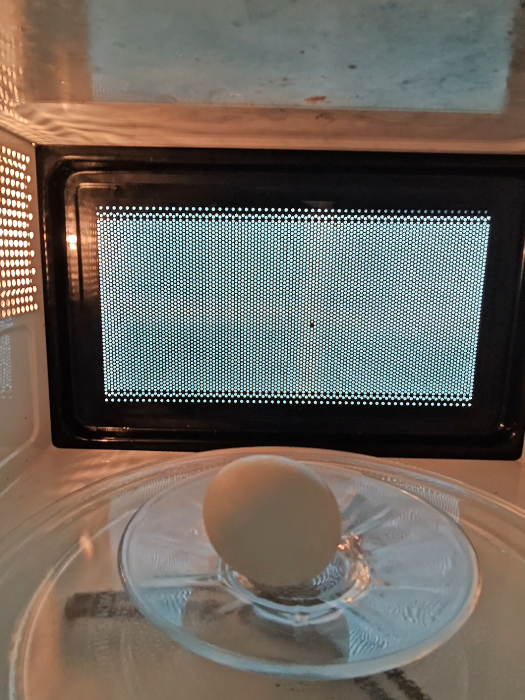 microwave vs egg #experiment #science #satisfying 