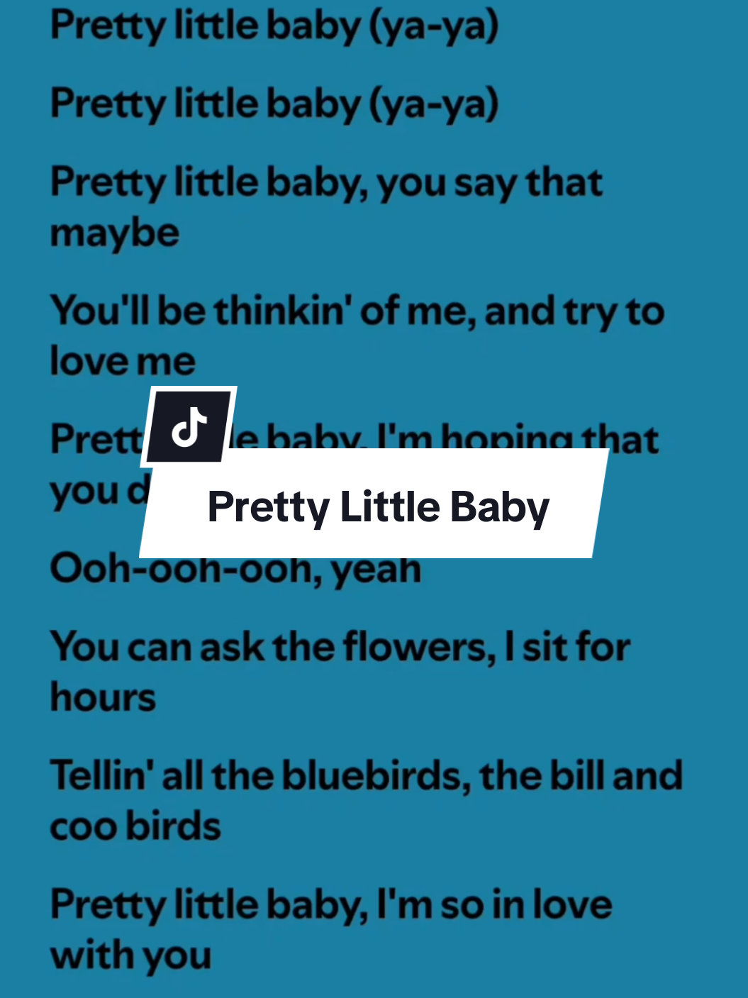 Pretty Little Baby lyrics  by Connie Francis #spotify #lyrics #fullsong #fyp #fulllyrics #prettylittlebaby #conniefrancis #music_lyrics1594 