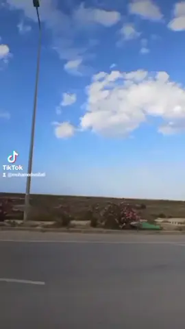 #تونس🇹🇳 #الجزائر🇩🇿 #فلسطين🇵🇸 