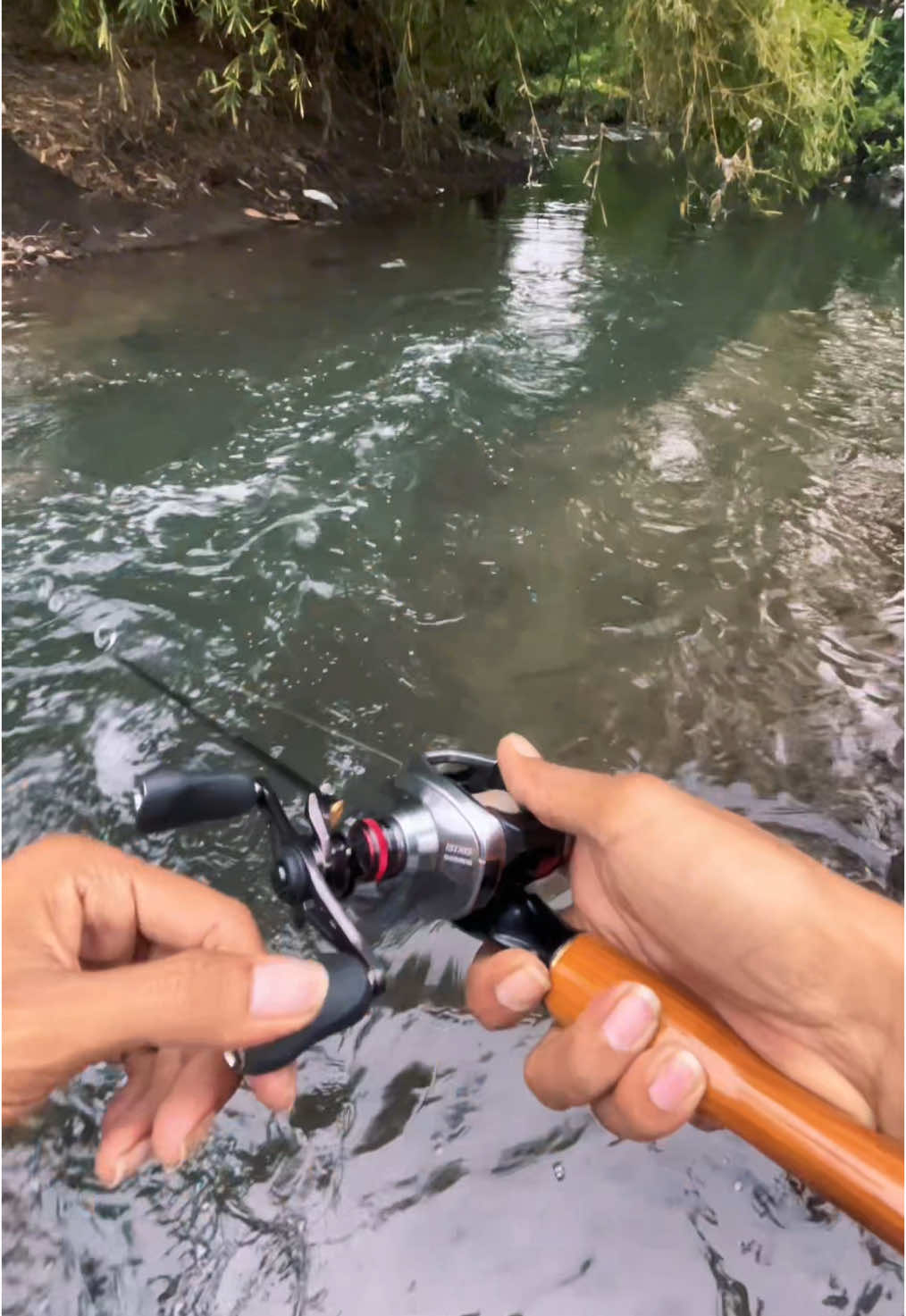 Laki-laki dengan keboncosanya 😭😭 #fishing #castingfishing🎣 #mancingmaniamantap🐟🎣 #fyp #mancingliar #storymancing #fypage #spotmancing #shimano #mafiafishhunter #hampalajogjakarta #hampalahunter #hampala #castinghampala 