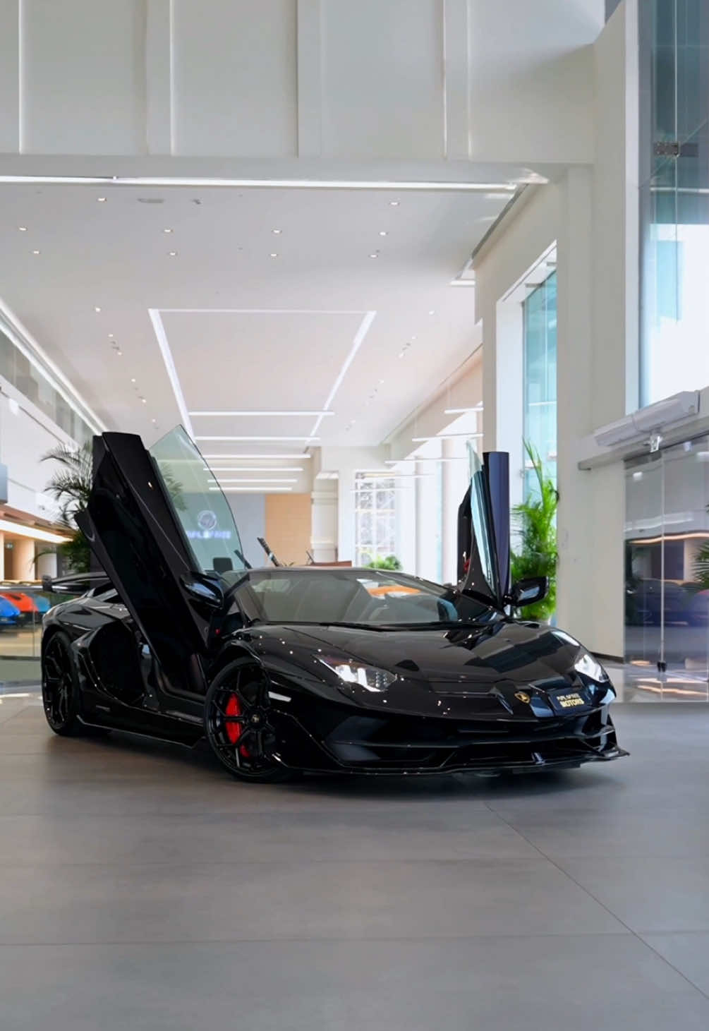 Lamborghini Aventador SVJ Roadster 🔥 #fyp #foryoupage #hypercarsdaily #carsofinstagram #carswithoutlimits #supercarstiktok #lamborghini #aventadorsvjroadster #pupiloffate #dubai 