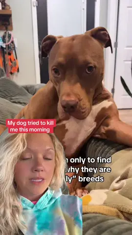 I havr to protect myself and my children. What doido about this. Its going to break my heart to put him down. #dogattack #dogattacks #dogs #dogsoftiktok #pitbulls #mutts #fear #kids #mamabear