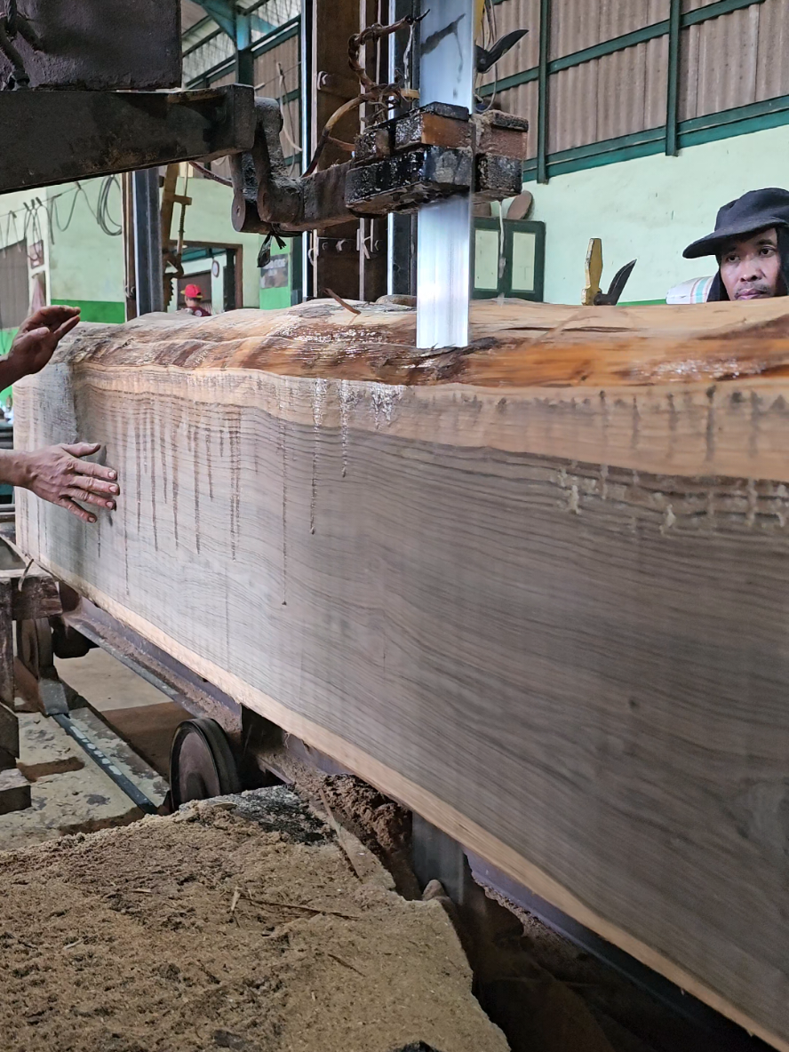 SERATNYAAA😍😍😍#jatinugroho #jatiperhutani #sawmill #joglo #kayujati #kayujatisuper #kayu 