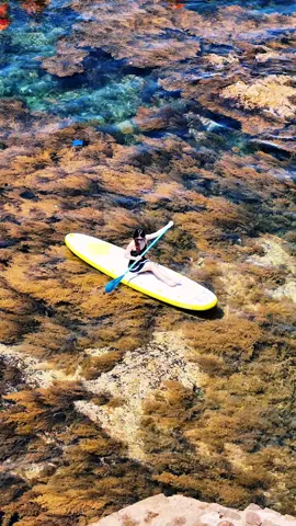 Chèo Sup, chụp ảnh, quay video flycam tại Hòn Khô  #tourhonkho #TourQuyNhơn #tourhonkhocheosupflycam #fyp #viral #xuhuong #DuLịchQuyNhơn #honkho 