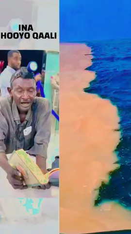 INA HOOYO QAALI #Mnsr #Somaliland #onemillionaudition #somalitiktok #foryoupage #fyp 