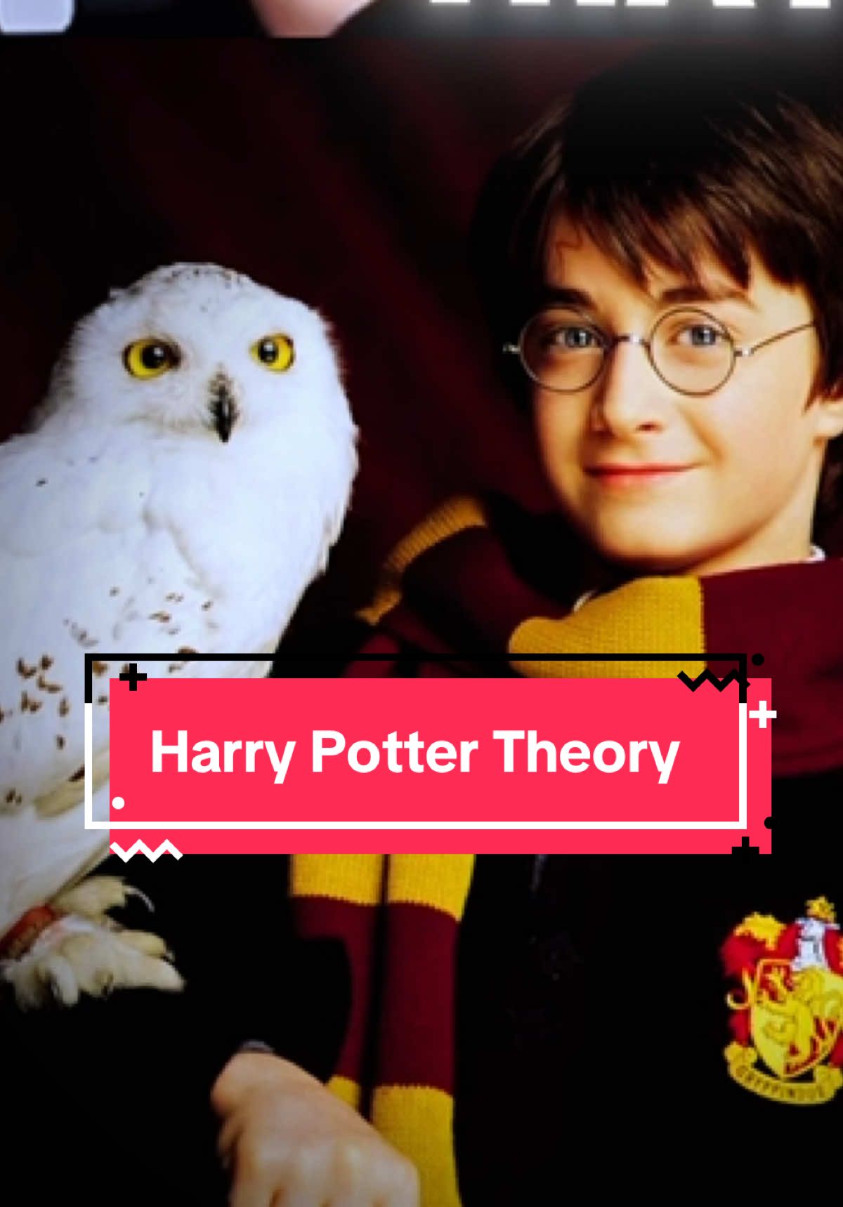 Haary Potter Theory He Was hallucinating all the time #jumperjumppodcast #harrypotter #conspiracytherory #conspiracytiktok #fpy 