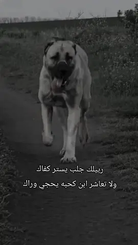 #عبارات_جميلة_وقويه😉 #ملاكمة_الابطال🥊💪🏻 #صديق_العمر #ذيب_السرايا_أضافه_اكسبلور_نشر🙂 #الجميع_يتخلى_عنك_الاامك🙋‍♂️ #لوكه_مدريدش🇭🇷 #عبارات_جميلة_وقويه😉🖤 