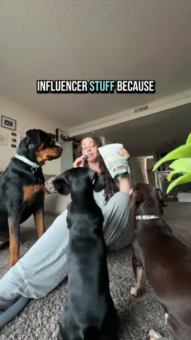 if you’re looking for all natural treats to give to your dogs I recommend dehydrated duck feet! You can add them on top of their meal or as a treat #RomanSeries #tiktokshop #minidachshund #dogfinds #dachshundbeingdramatic #rottweiler 