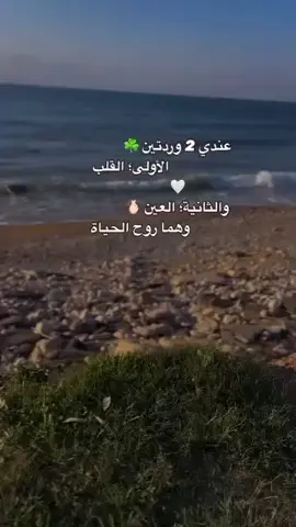 أنا بناتي مِش بكفّه والناس بكفّه، أنا بناتي بالكفتِين والناس كلهَا برّا الميزان🧡 @Jana W Jody @O̤̮m̤̮E̤̮l̤̮B̤̮a̤̮n̤̮a̤̮t̤̮ #CapCut 