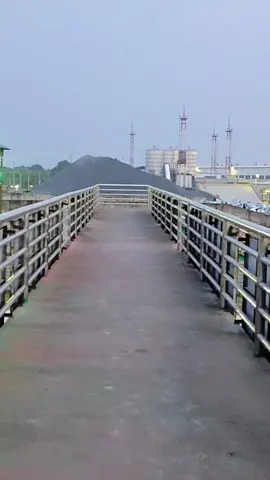 #flpシ #flp #foryou #viralvideo #unfrezzmyaccount #saportme #tiktok?bangladeshforyou #viralsong #bdtiktokbangladesh 