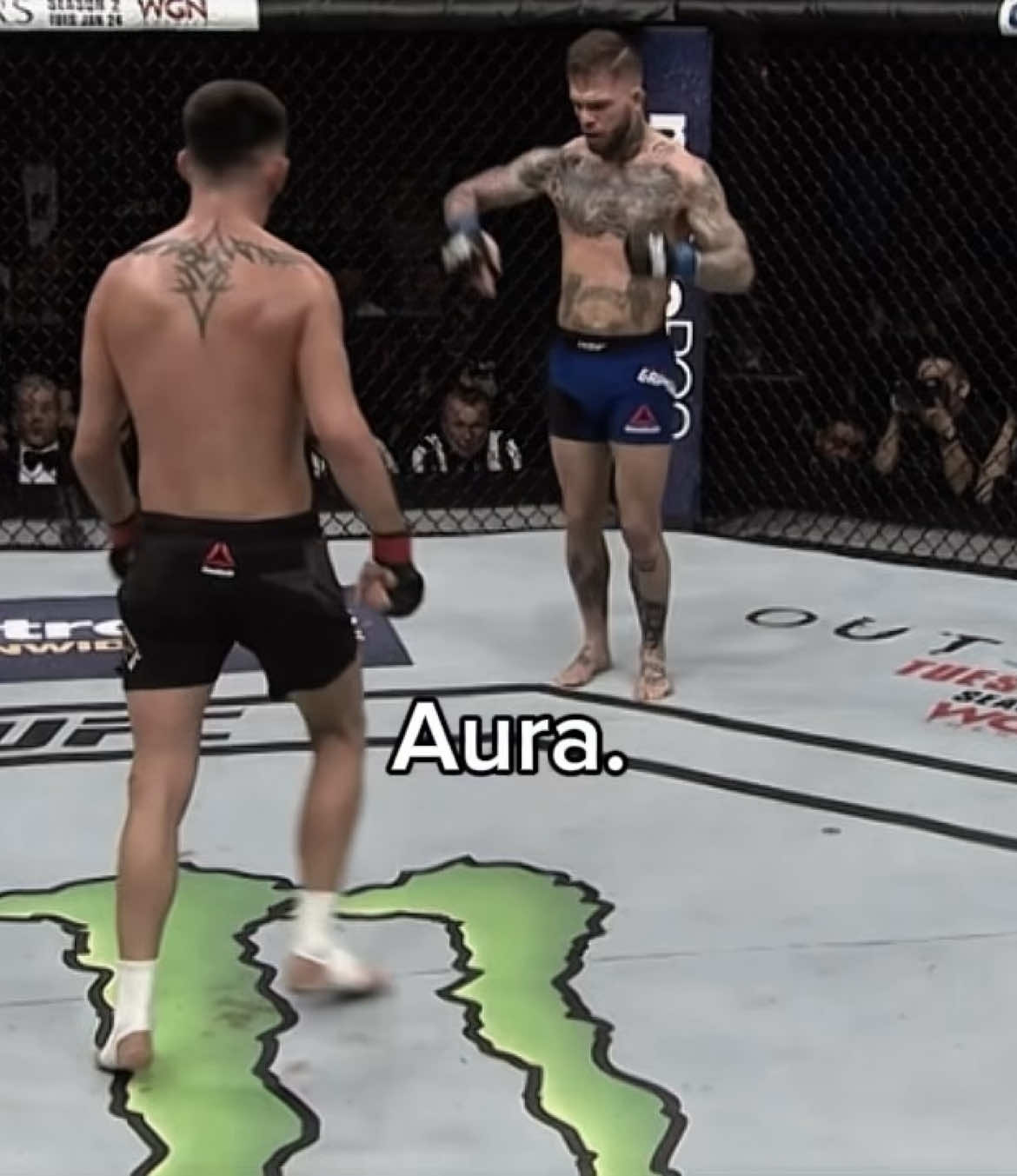 Aura Cody☠️🔥#codygarbrandt #foryoupage #mma #boxing #ufc300 #fyp #maxholloway 