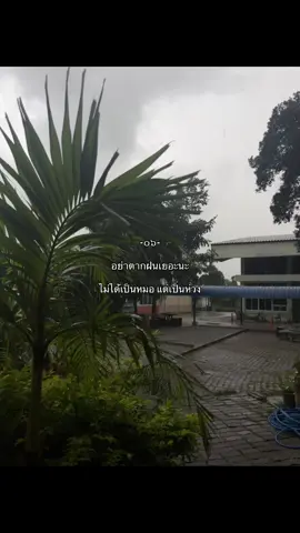 #เธรด #อย่าปิดการมองเห็นหนู #fyp #tiktok 