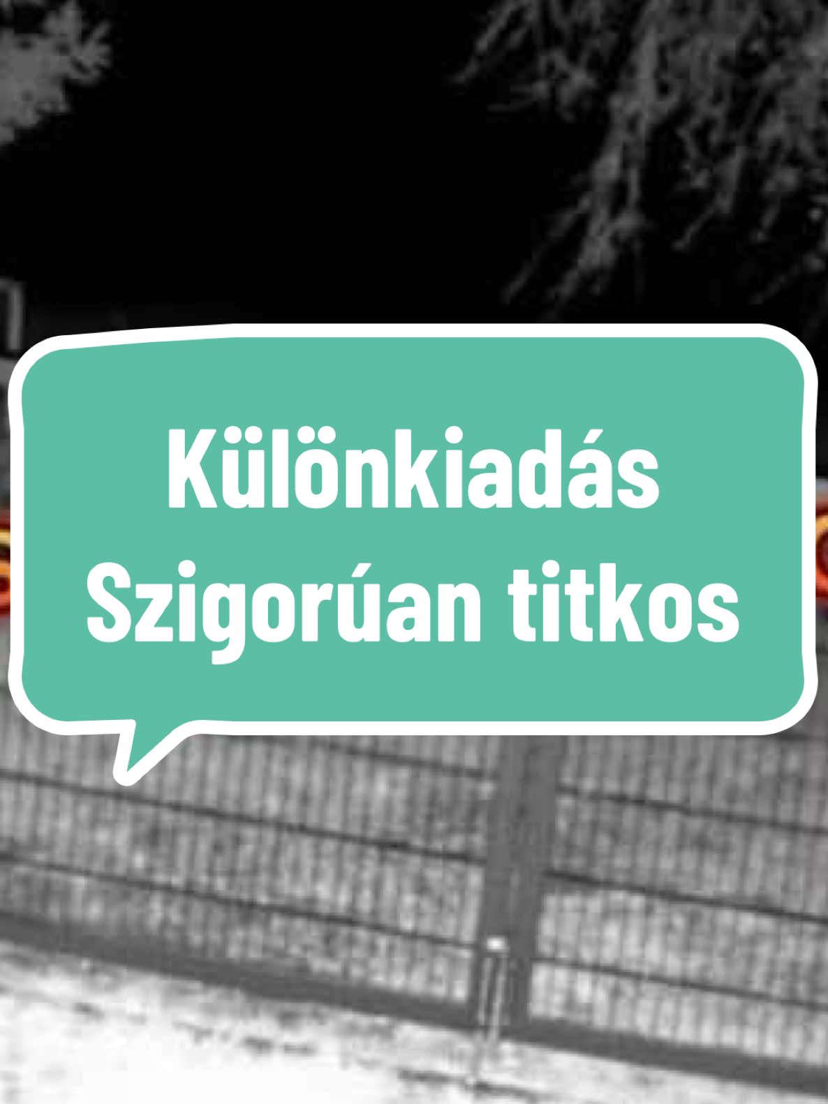 #mosomedve #misimosikalandjai#állatok #vicces #foryoupage❤️❤️ #forupage #nekedbelegyen 