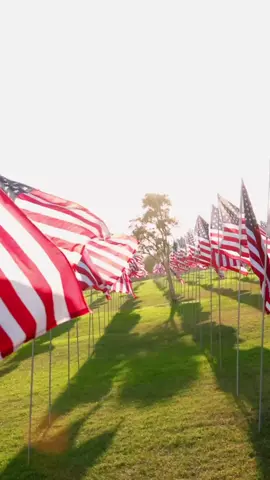 Memorial Day