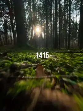 #141