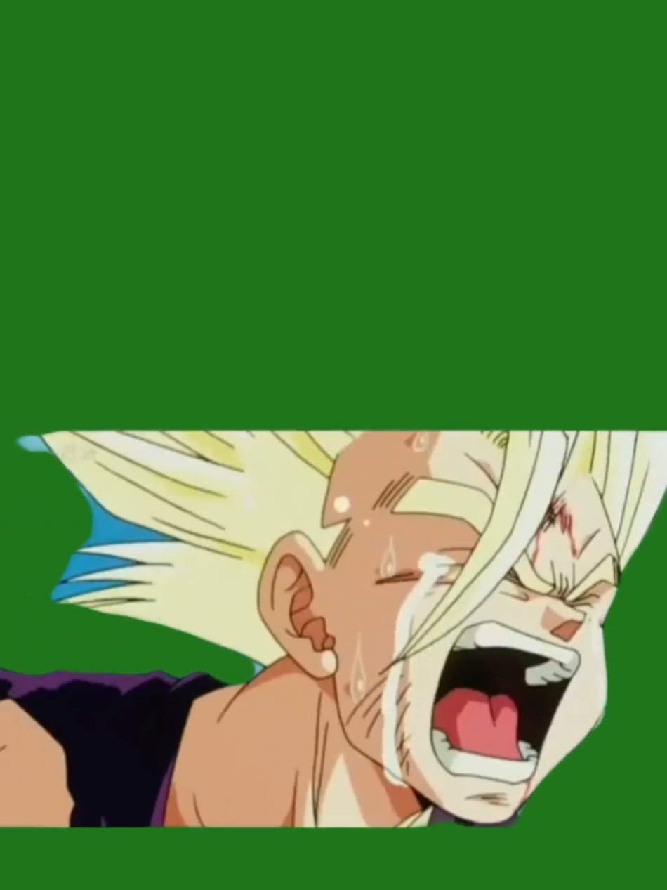 #CapCut GOHAN PAPAAA PLANTILLA #dragonball #dbz #goku #papa #grito 