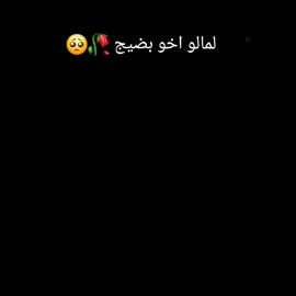 #لمالو_اخو_بضيج  مجرد ___ذووووووق  #تصميم_فيديوهات🎶🎤🎬 