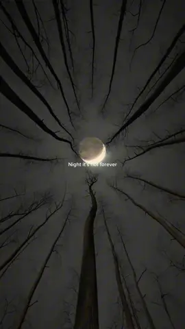 Night is not forever 😪🎧 • • • #alanwalker #alone #spotify #lyrics_songs #lyricsviral #virallyrics #slowedsongs #songs #song #musik #ken_lyrics3 #k_lyrics04 #wvr_lyrics @𝙷𝚘𝚘𝚔_𝚖𝚊𝚜𝚝𝚎𝚛🎶 