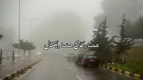 هضا طايح هضا ينشال… الرفقه ديرلها غربال #شحات #البيضاء_ليبيا #شحات_سوسه_راس__البيضاء_طبرق_ليبيا 