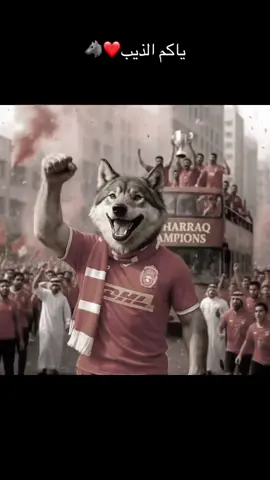 #نادي_المحرق❤️🐺 #شيخ_الانديه_الخليجيه #🐺 #🔥 #bahrain#football#عشاق_الذيب#capcut 