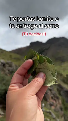 Conmigo es cosa seria o nada ☺️ #🏔️🍃#paratiiiiiiiiiii 