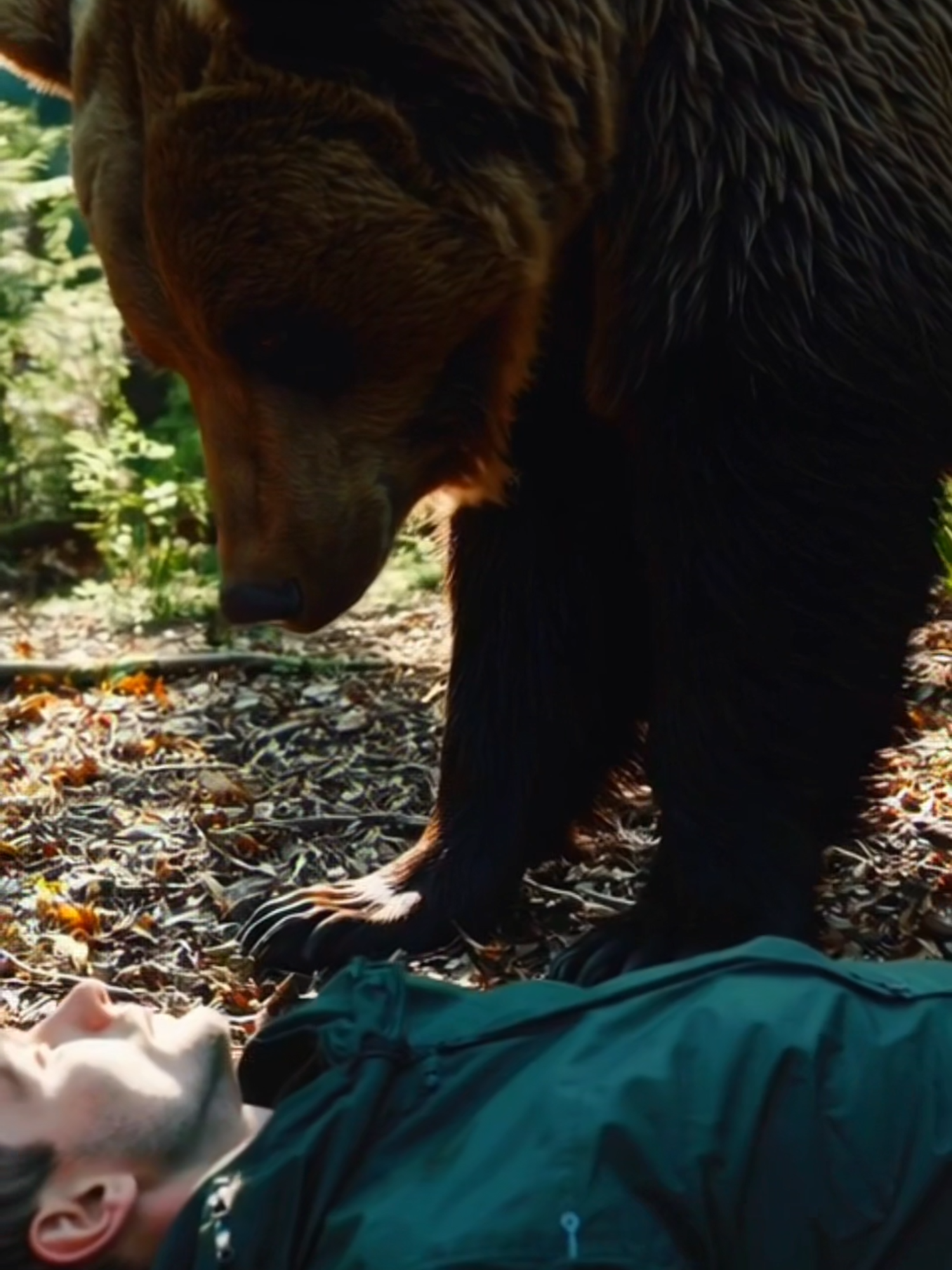 Grizzly bear walks right up to a man pretending to be dead in the forest… Would you move? 😨 #GrizzlyBear #BearEncounter #FYP #AIvideo #PlayDead #SurvivalTok #BearTok #WhatWouldYouDo #Nature #wildlifemoments