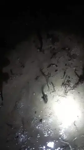 আজকে অনেক বৃষ্টি কারণে মাছ ভেসে আসছে আমাদের এলাকায় 🐟🐟🐟#মাছধরা 