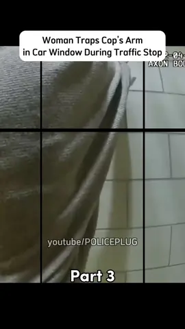 youtube/POLICEPLUG Part 3