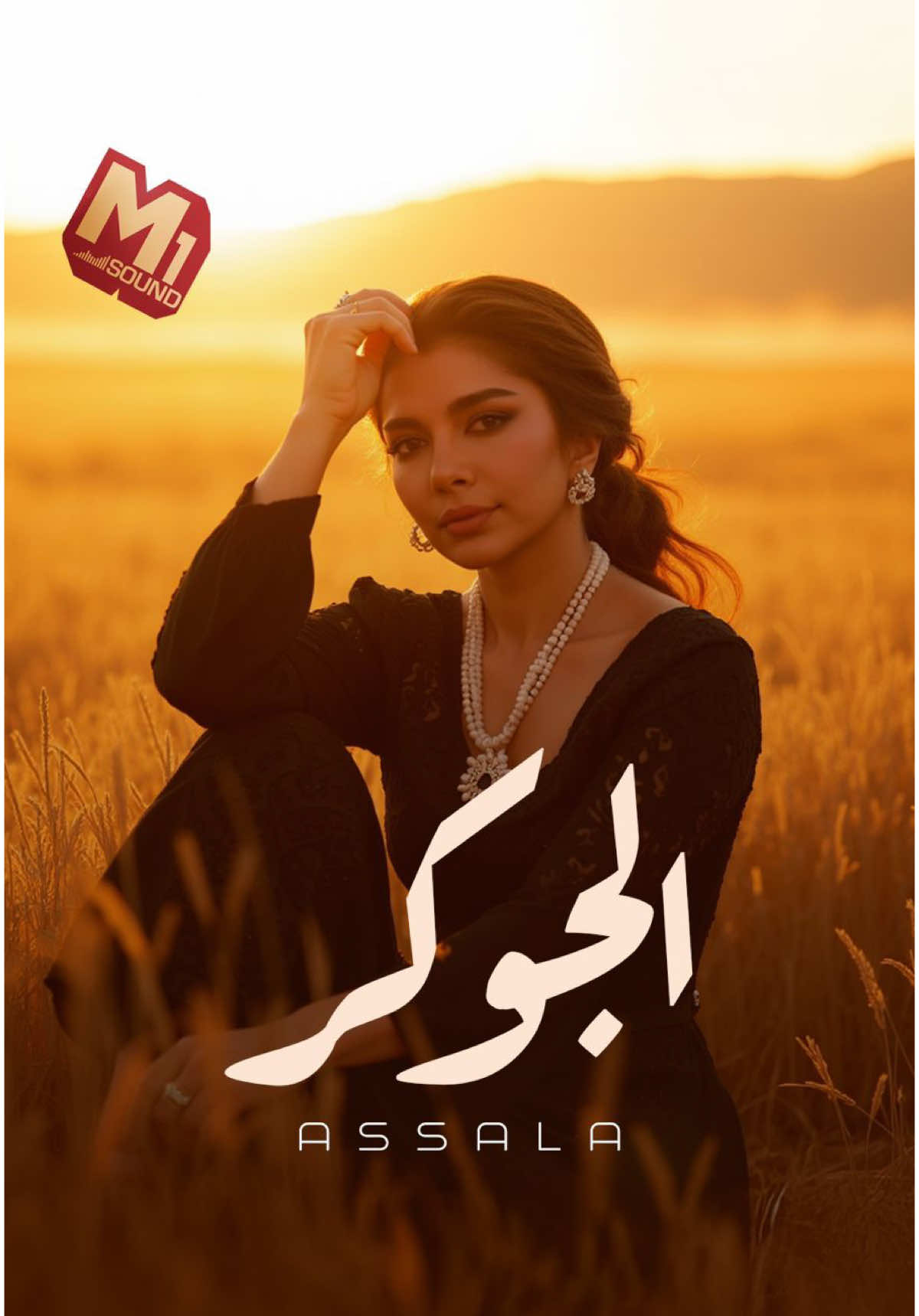 ده مش إنصاف مخدتش مرة شئ كامل..منابي تملي ليه أنصاف💔😔  #أصالة #الجوكر  @Hany Mahrous @sola 