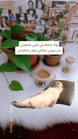 #CapCut روق علي شوي 🤭🥹🫰 #قطة #قوالب_أم_يزون💚 #أم_يزون💚 #💚 #trebd #trending #explore #viral #متابعة #تفاعل #😂 
