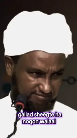 #sheekh_xusen_cali_jabuti #somalitiktok #foryoupage #allakacabsigawaashaymuhiinah 