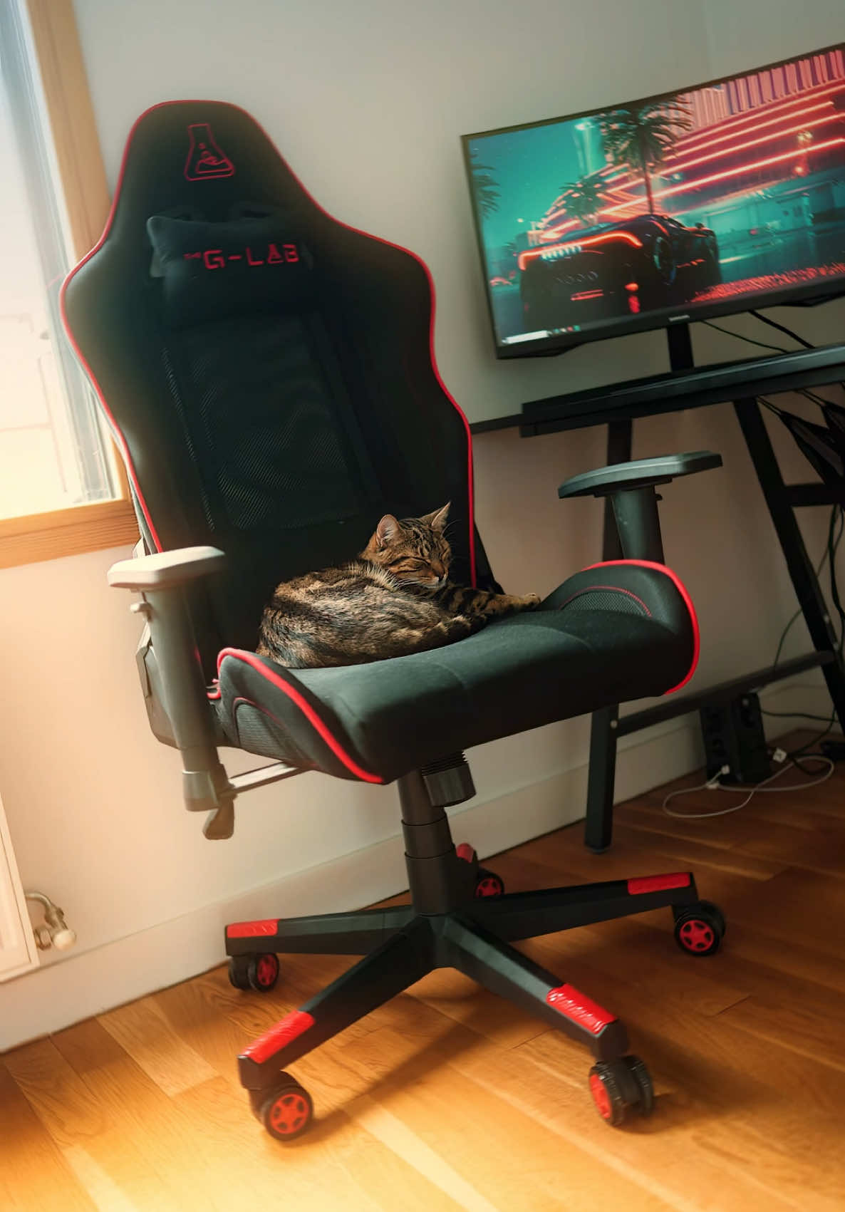Car X Setup edit 😼 #setupgaming #cars #cats #editing 