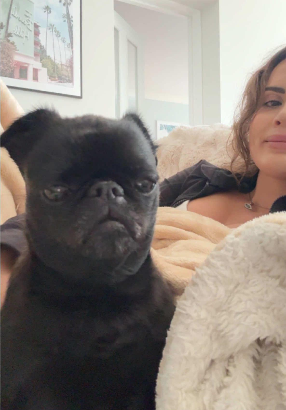 Just us hanging out 😂 #fyp #dogsoftiktok #dogmum #dogslife #dogsoftiktokviral #petinfluencer #smalldogsoftiktok #dogsofinstagram #doggos #cutedogs #dogsofinstagramworld #dogs #doggies 