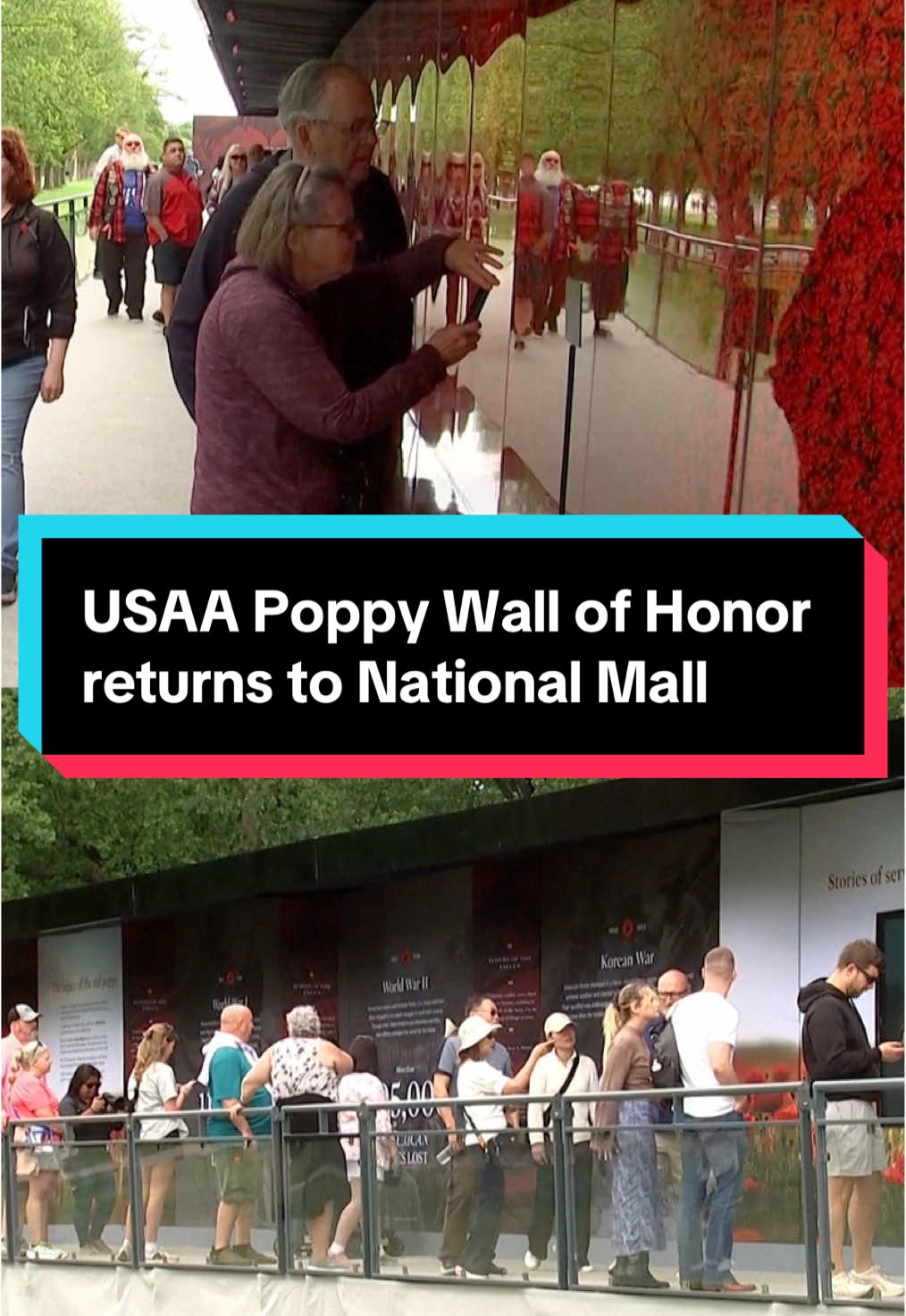 The USAA Poppy Wall of Honor has returned to the National Mall in Washington, D.C. The Poppy Wall is a tribute to the more than 600,000 U.S. service members lost in the line of duty since World War I. #memorialday 