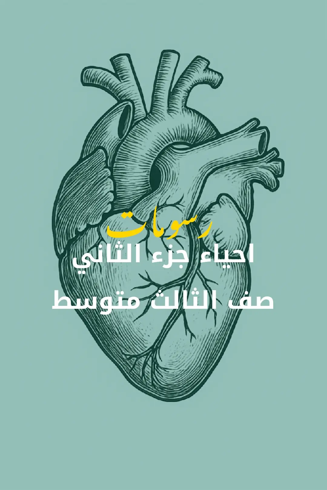 #احياء_رسومات #مرشحات_ثالث_متوسط #طلاب_ثالث_متوسط #طلاب_خارجي #ثالث_متوسط #الاحياء #مرشحات_ #امتحانات 