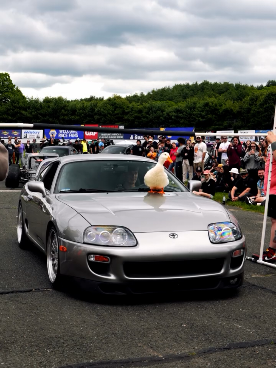 Aflac approves!🐥 @savyymedia #toyota #toyotasupra #supra #supramk4 #aflac #duck #girlvideographer #carvideography #videographer #videography #girlphotographer #carvideographer #carphotography #contentcreator #carphotographer 