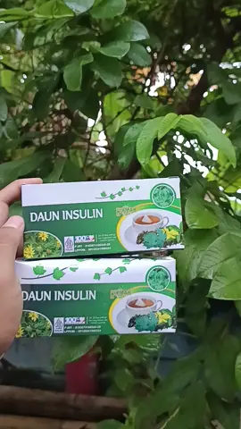 manfaat daun insulin bagus buat yang ingin kontrol gula darah teh celup daun insulin bisa kalian dapatkan dikeranjang kuning #teh #tehcelup #tehdauninsulin #tehherbal
