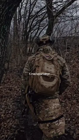 подпишись на тгк 