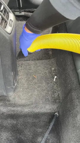 Satisfying interior detail on a Kia Niro! Dogs got back in the car before I even leave the place 🤦‍♂️😁    #fyp #asmr #satisfying #viral #cleaning #cardetailing #markosmobiledetailing 