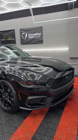 This 2025 Mustang didn’t just get detailed—it got transformed. We performed a full paint correction + ceramic coating that left the finish looking WET and protected for years to come 💧 But here’s the craziest part… The customer drove over an HOUR just to bring it to us. That’s what happens when your brand speaks louder than distance 💯 People don’t always look for the “closest” detailer—they look for the most trusted, the one whose work shows up consistently online, looking elite. Your work is your marketing. When your content builds trust, your business becomes a destination—not an option. — #MustangDetailing #CeramicCoatingExperts #PaintCorrectionPros #DetailingBusiness #AutoDetailingLife #PremiumDetailing #CarDetailingMiami #2025Mustang