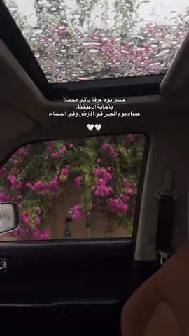 #يوم_عرفه #Meme #MemeCut #CapCut 