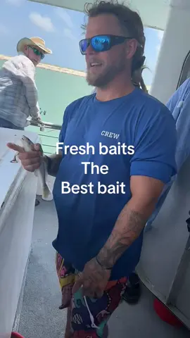 Bait fish sushi #fyp #fishtok #sushi #fish #saltwater 